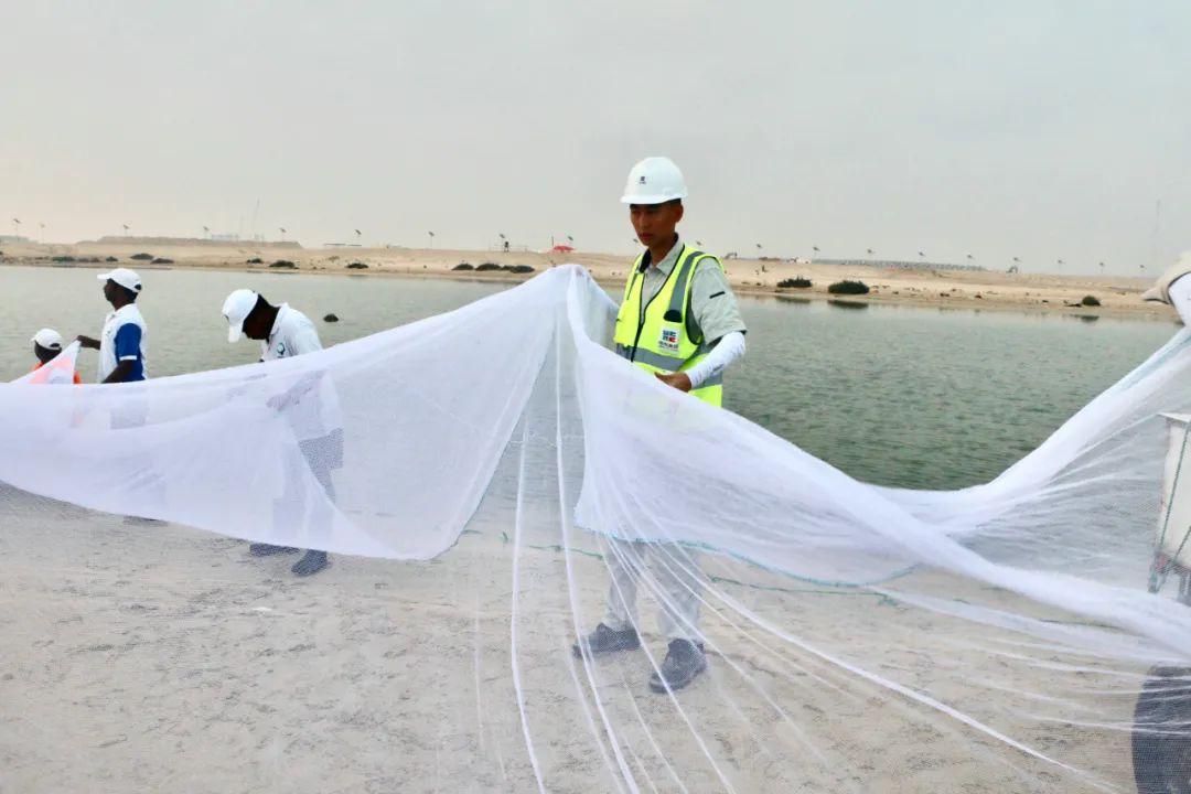 J9集团直营·(中国)官方网站