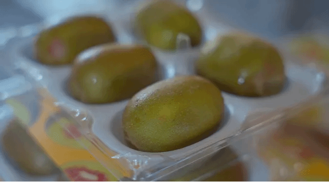 J9集团直营·(中国)官方网站