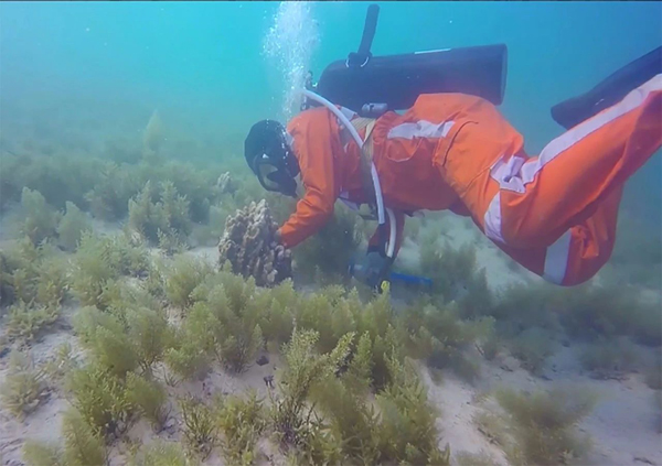 J9集团直营·(中国)官方网站