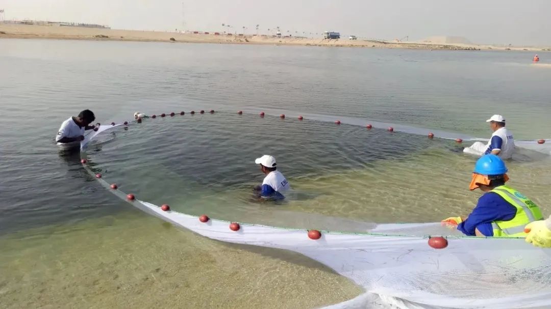 J9集团直营·(中国)官方网站