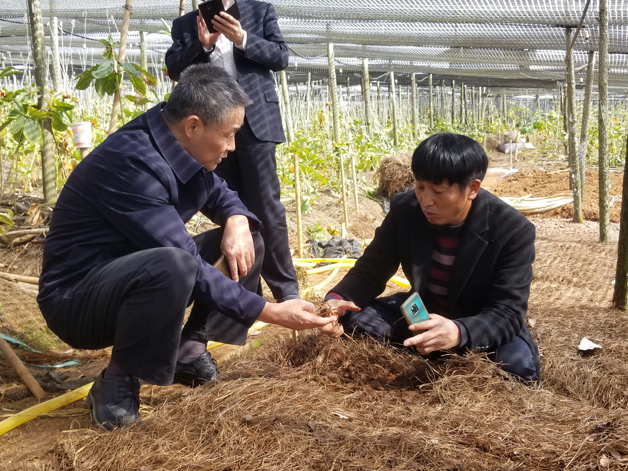 J9集团直营·(中国)官方网站