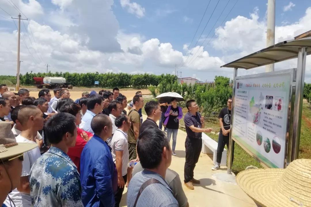 J9集团直营·(中国)官方网站