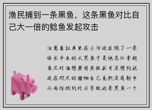 渔民捕到一条黑鱼，这条黑鱼对比自己大一倍的鲶鱼发起攻击